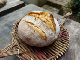 Laminated Sourdough