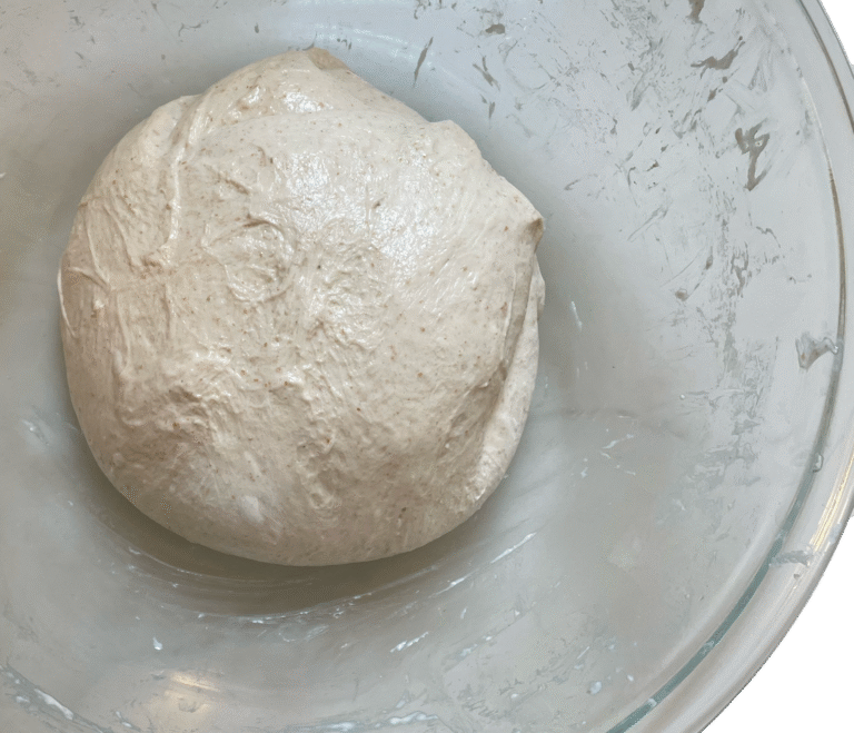 Bulk fermentation of sourdough dough